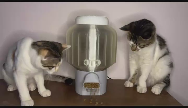 OTO Feeder C1 | Wireless automatic Pet feeder | 2 KG capacity
